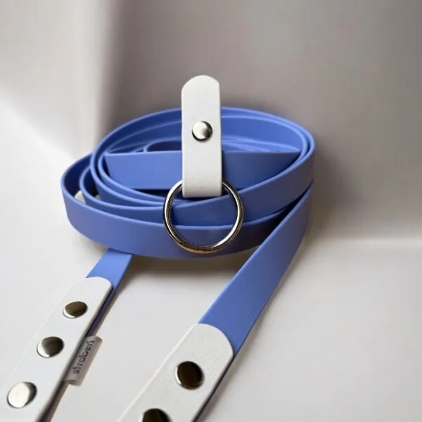 Stroberi-blue-white-multi-3 stroberi Aksesuarai šunims