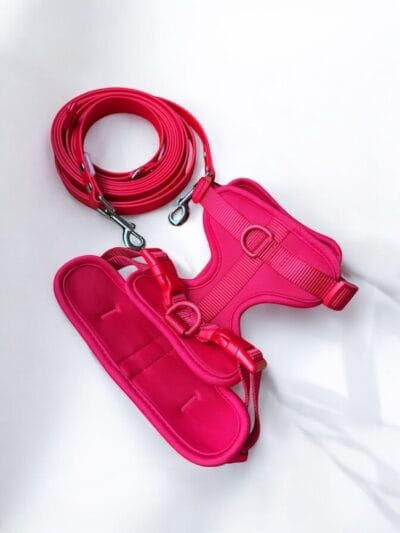 Petnešos ir pavadys RED