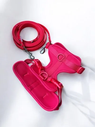 Petnešos ir pavadys RED