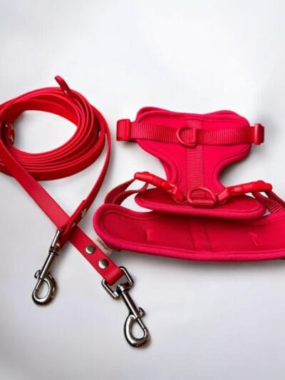 Petnešos ir pavadys RED