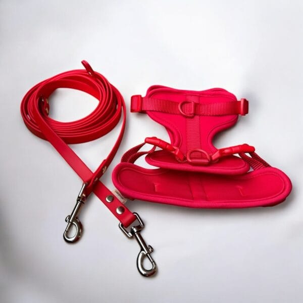 Petnešos ir pavadys RED