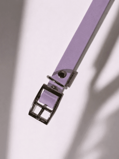Antkaklis Lilac
