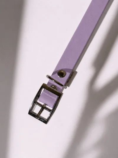 Antkaklis Lilac