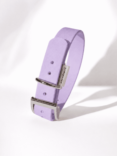 Antkaklis Lilac