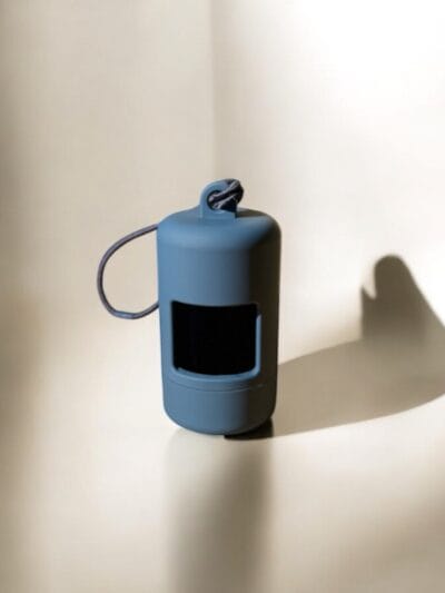 melynas maiseliu deklas