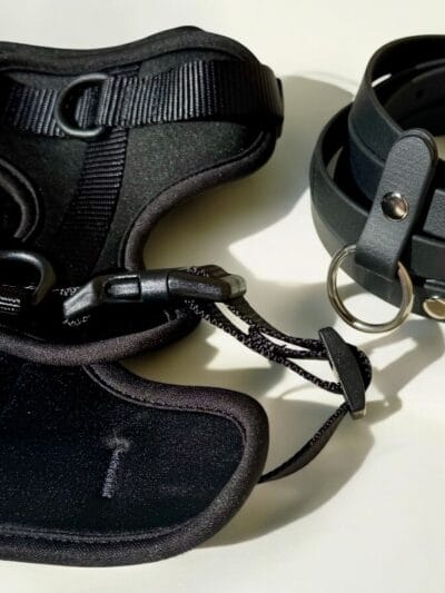 Petnešos ir pavadys BLACK