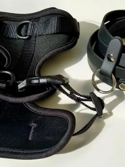 Petnešos ir pavadys BLACK