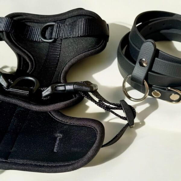 Petnešos ir pavadys BLACK