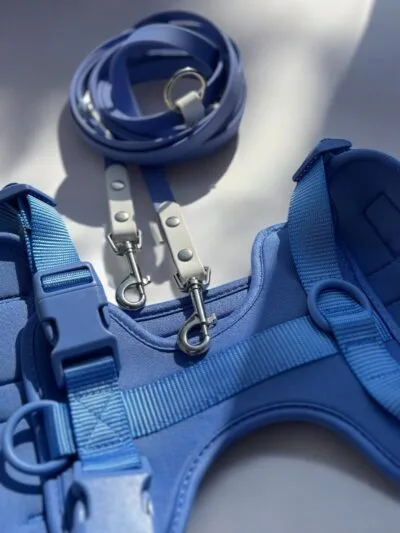 Petnešos ir pavadys BLUE