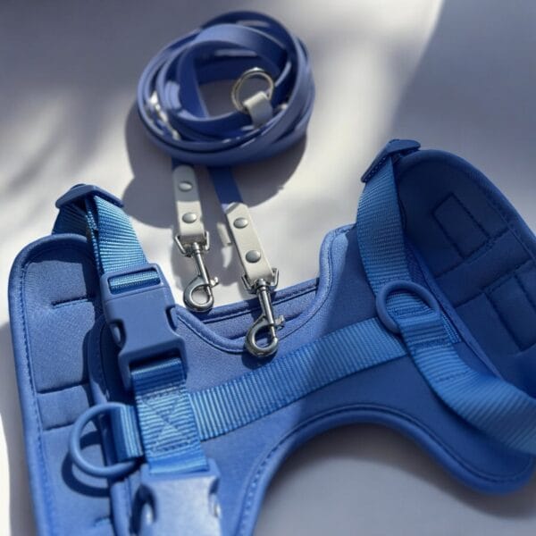 Petnešos ir pavadys BLUE