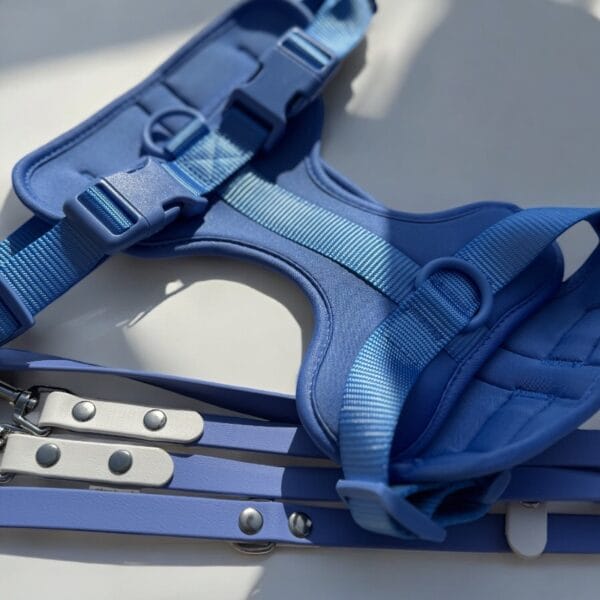 Petnešos ir pavadys BLUE