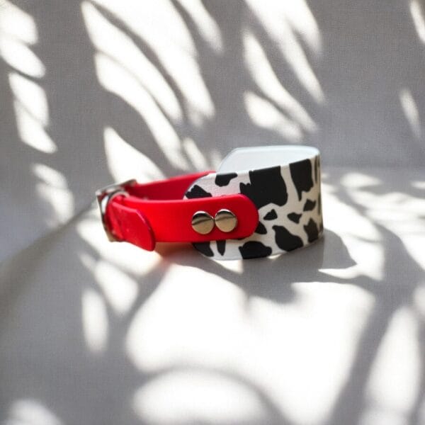 Ilgakaklio šuns antkaklis