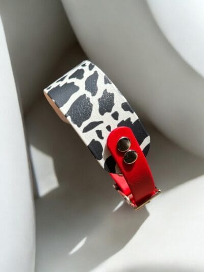 Ilgakaklio šuns antkaklis