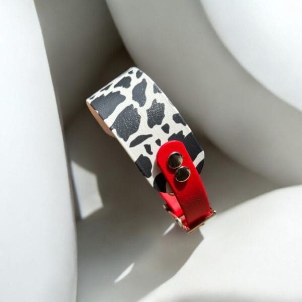 Ilgakaklio-suns-antkaklis-4 Ilgakaklio šuns antkaklis