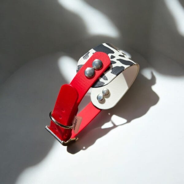 Ilgakaklio šuns antkaklis