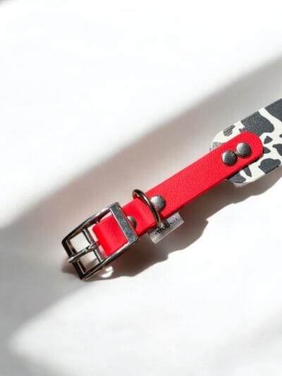 Biotano antkaklis ilgo kaklo šunims MOO RED