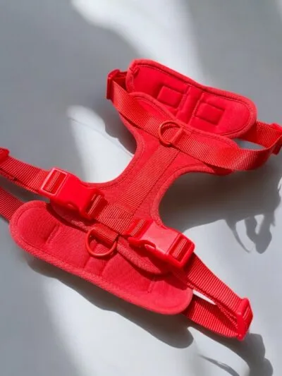 petnesos red