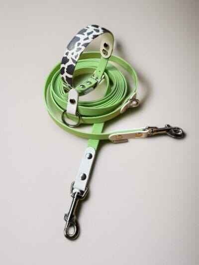 Antkaklis ir pavadėlis