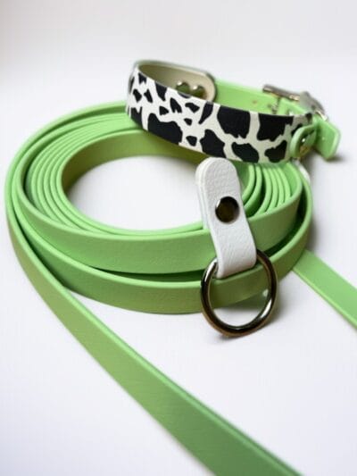 Antkaklis ir pavadėlis