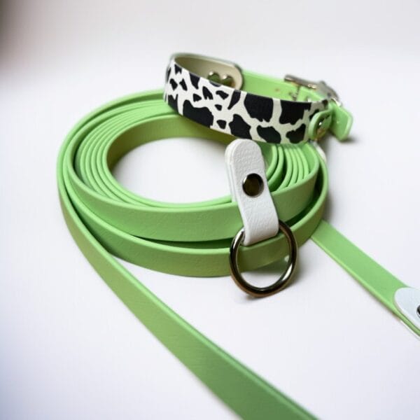 Antkaklis ir pavadėlis