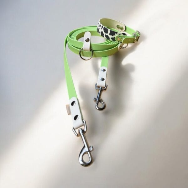 Antkaklis ir pavadėlis