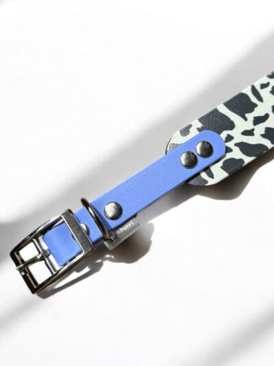 Biotano antkaklis ilgo kaklo šunims MOO BLUE