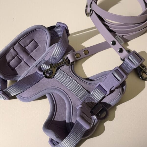 stroberi-lilac-petnesos-pavadelis Petnešos ir pavadys LILAC