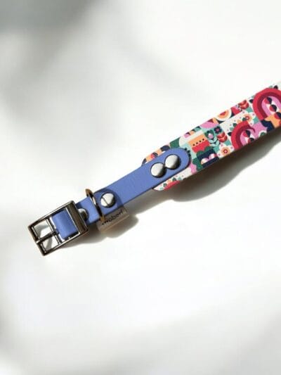 spalvotas antkaklis strawberry