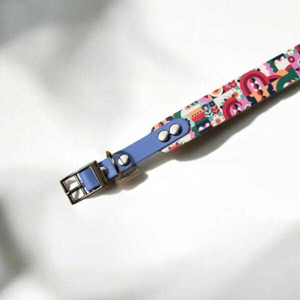 Spalvotas-antkaklis-strawberry-ą spalvotas antkaklis strawberry