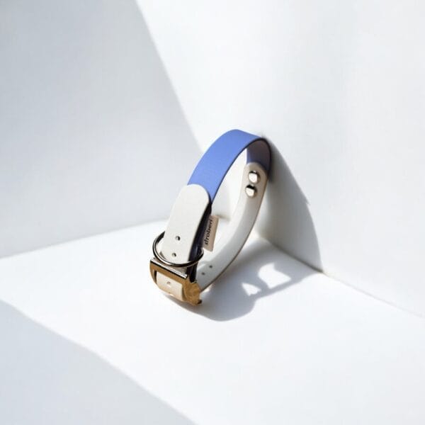 šuns-antkaklis-1 šuns antkaklis