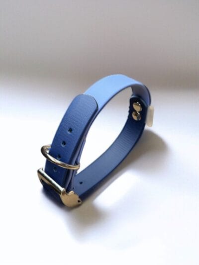 dvispalvis biotaninis antkaklis