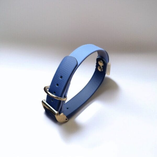 dvispalvis biotaninis antkaklis