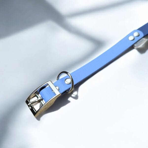 dvispalvis biotaninis antkaklis