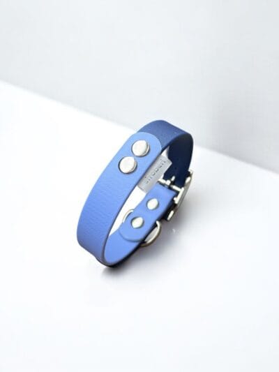 dvispalvis biotaninis antkaklis