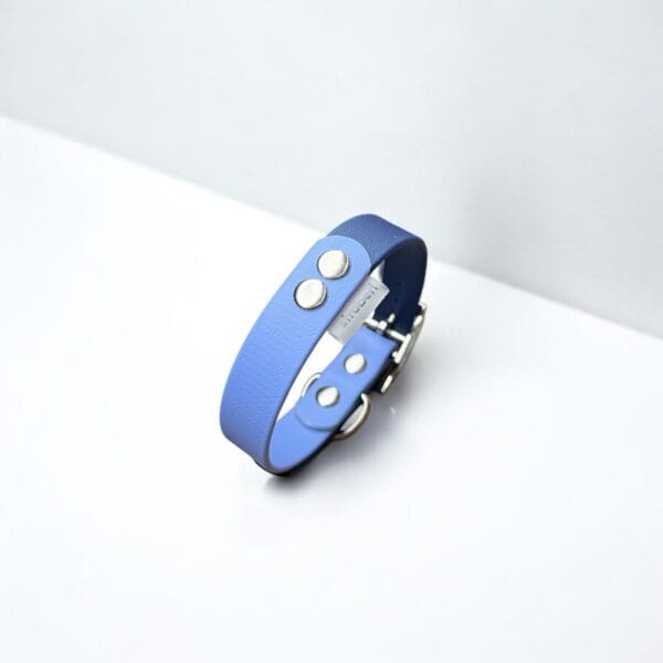 dvispalvis-biotaninis-antkaklis dvispalvis biotaninis antkaklis