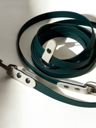 universalus pavadelis