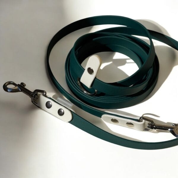 universalus pavadelis