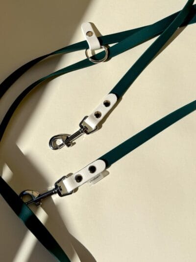 universlaus pavadelis