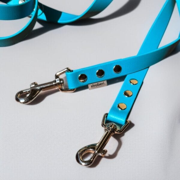 Mėlynas biotano pavadys