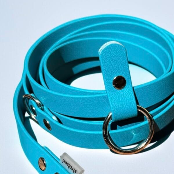 Mėlynas biotano pavadys