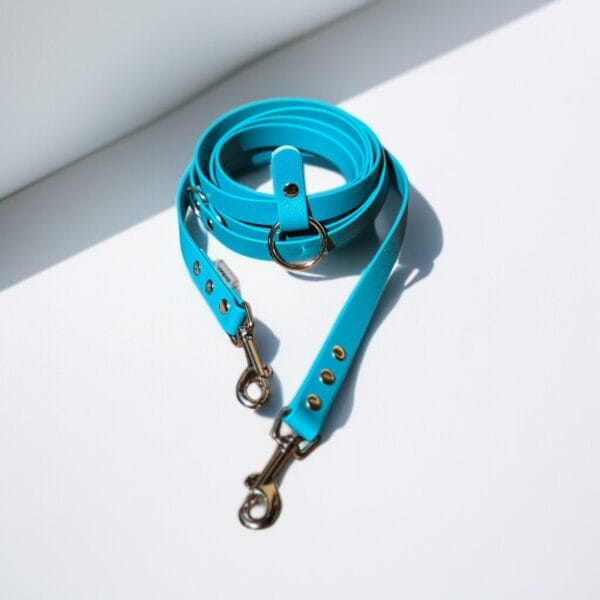 Melynas-biotano-pavadys-4 Mėlynas biotano pavadys