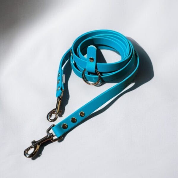 Mėlynas biotano pavadys