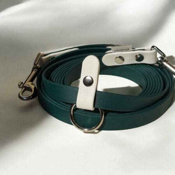 dvispalvis pavadėlis-2 universalus pavadėlis