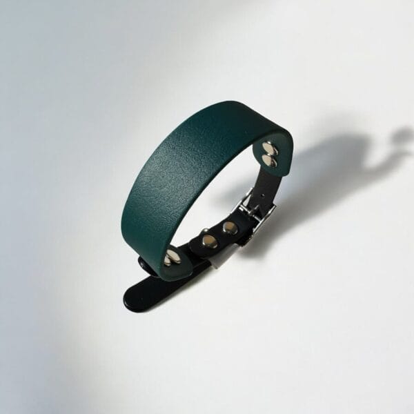 Biotano antkaklis GREEN BLACK