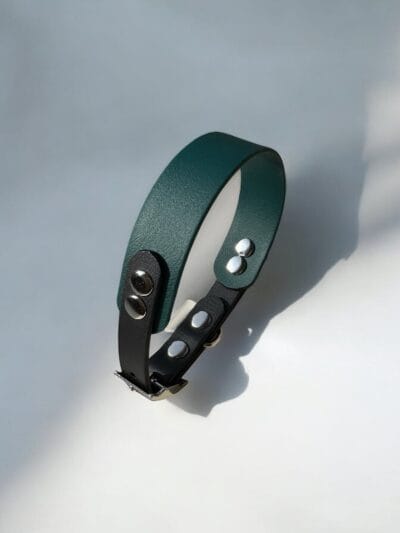 Biotano antkaklis GREEN BLACK