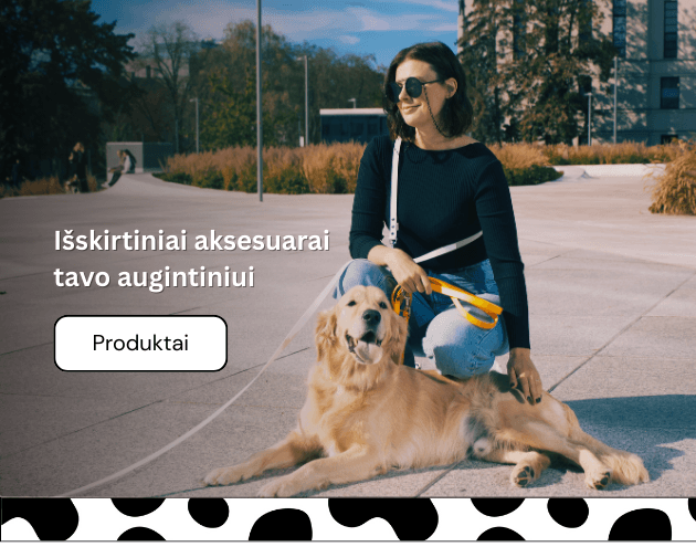 stroberi biotano pavadelis sunims header