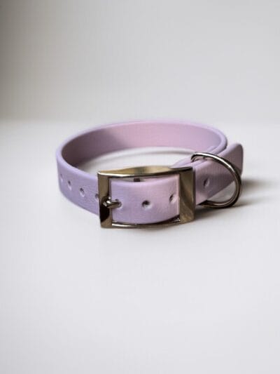 Neveliantis kailio antkaklis