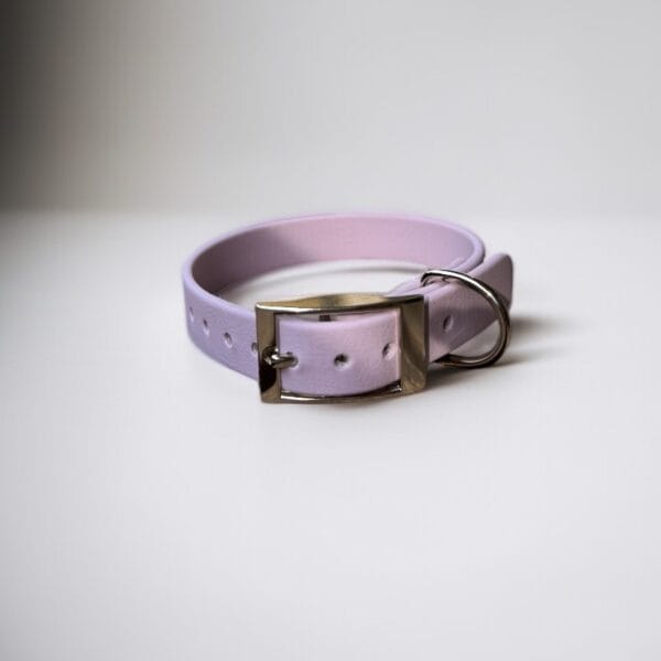 Neveliantis kailio antkaklis