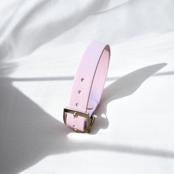 Neveliantis kailio antkaklis