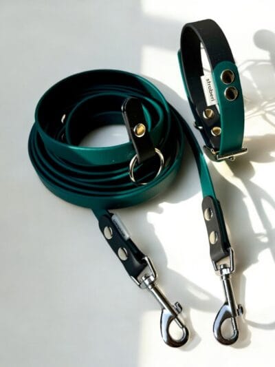 Stroberi rinkinys šuniukui